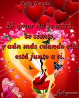 /album/fotogaleria/el-amor-no-se-mira-jpg/